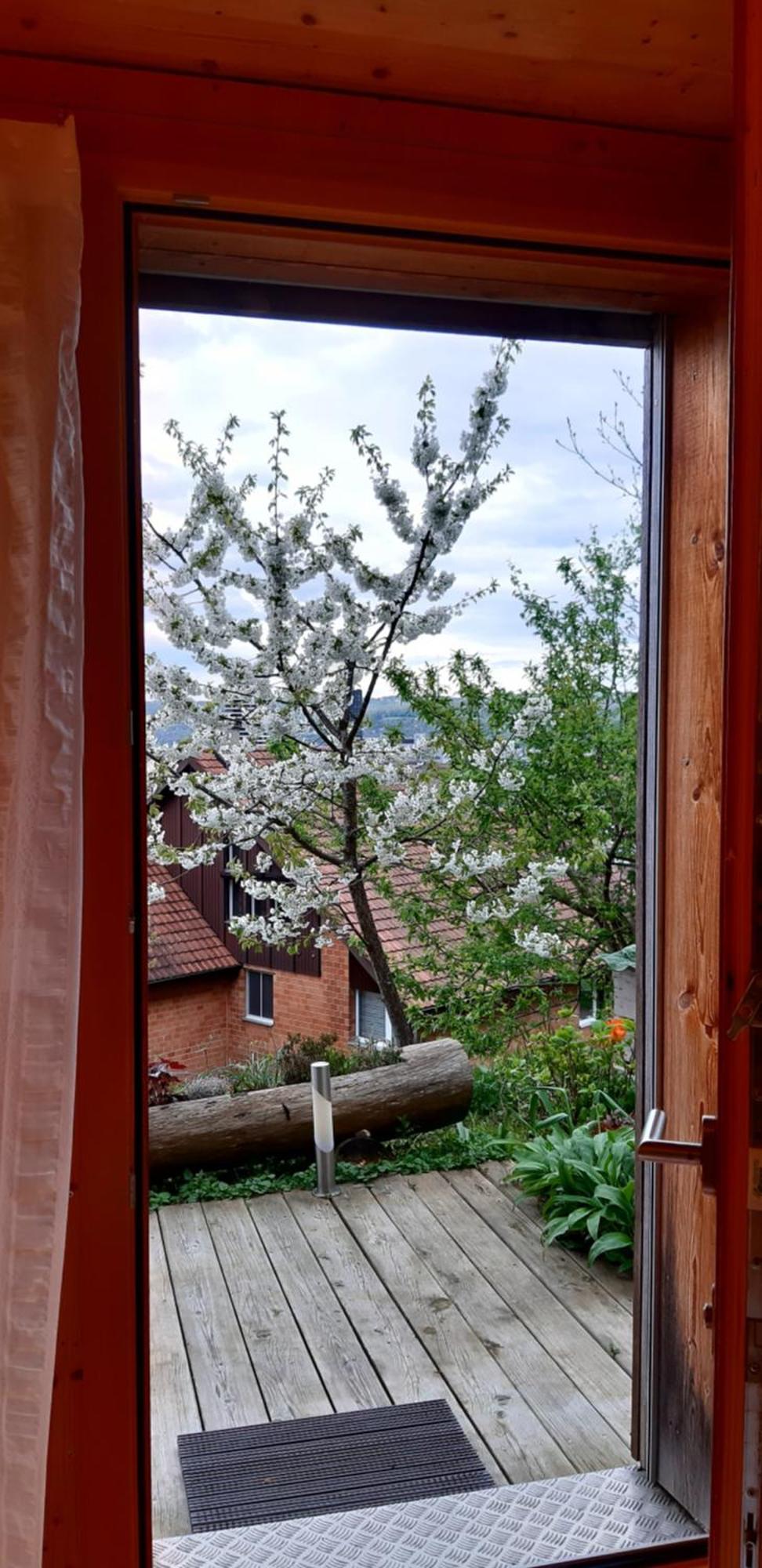 B&B Sunnesite Pratteln Exteriér fotografie