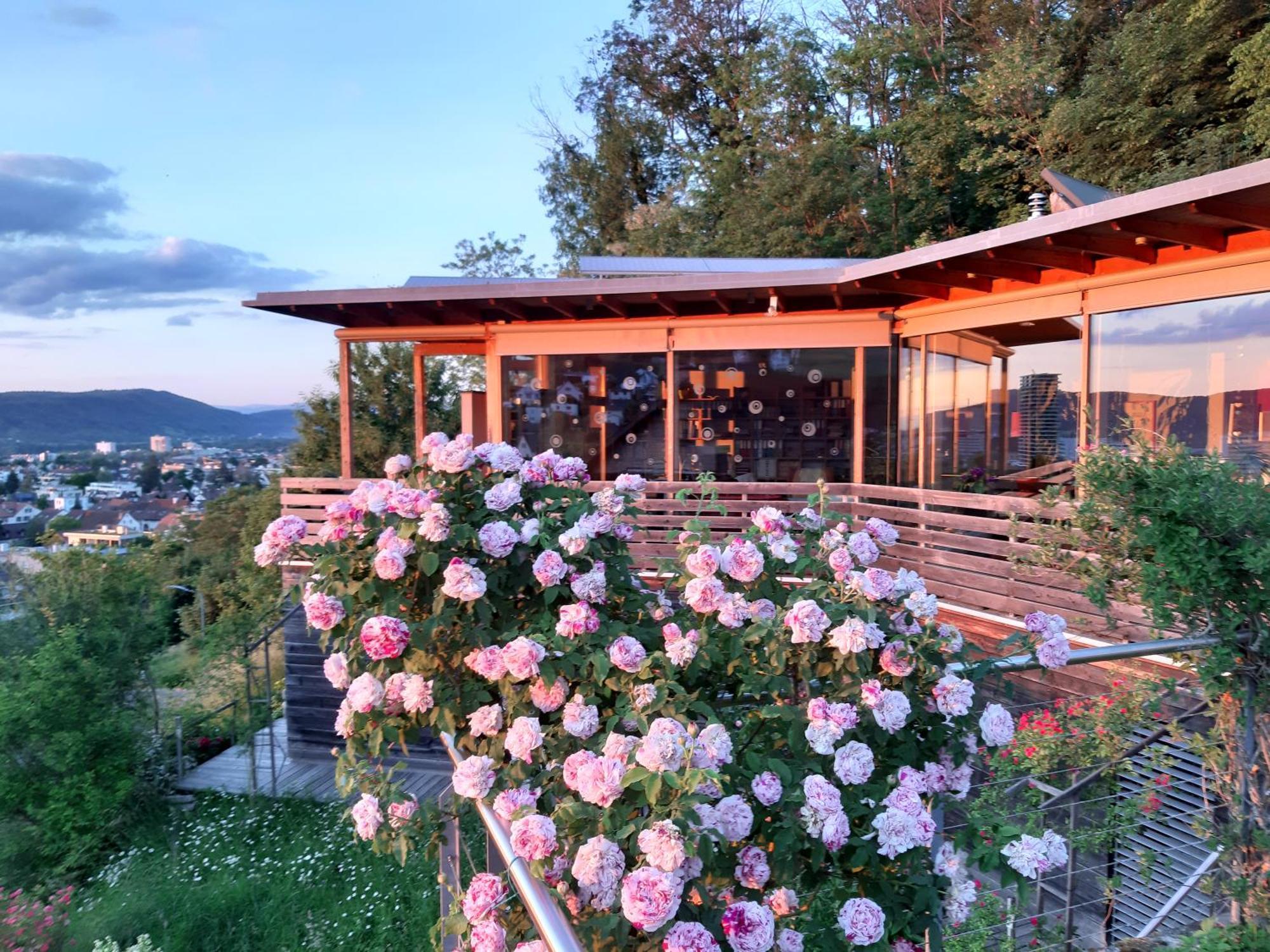 B&B Sunnesite Pratteln Exteriér fotografie